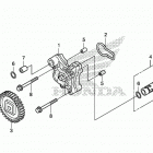 CB300F Масляный насос