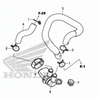 CRF1000A2 Air injection solenoid