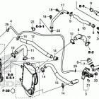 CRF1000A Радиатор и Патрубки