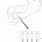 AN650,Z Optional (hook set pillion handle)