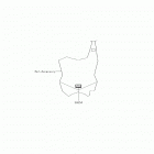 KX450F (KX450HHF) Decals(hhf)