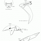 CONCOURS 14 ABS Decals(gray)(egf)