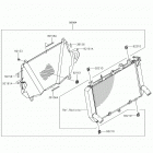 Z900 Accessory(radiator screen)