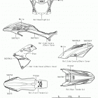 KLX150BF (KLX150FHFB) Decals(orange)(fhfb)