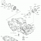 W800 Масляный насос  /  масляный фильтр
