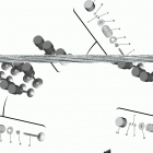NIKEN GT  (MXT9GTLB) Клапана