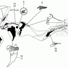 CRF1100A4 2AC Mark@stripe (4)