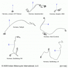 SPRINGFIELD DARK HORSE INTL (N21TJDBBE) Electrical, wire harness 2 - n21tjdbbe all options (2011...