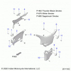 SPRINGFIELD DARK HORSE INTL (N21TJDBBE) Body, side covers - n21tjdbbe all options (201110c)