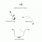 CHIEF DARK HORSE ALL OPTIONS (N20TEDAAAH/AABH/AACH/AAEH) Electrical, wire harness 2 - n20tvaaa all options (20064...