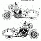 SCOUT SIXTY ALL OPTIONS (N20MSA11/MSB11) Body, emblems and decals - n20tjdbb all options (200574)