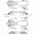 RAPTOR 700R SPECIAL  (YFM70RSCMY) Наклейки