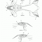 YFZ450R (YFZ45YSXLL) Наклейки