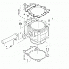 ALTERRA TRV 700 T3 BLACK [A2019THT4E3TP] Cylinder assembly [300238]