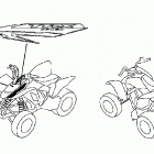 TRX250EX Marks ('07)