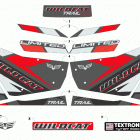 WILDCAT TRAIL LTD EPS GRAY [U2019WXT2PUSC] Decals [302970]
