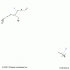 RZR PRO XP4 ULTIMATE  (Z21R4U92AN/BN) Electrical, wire harness, peripheral - z21r4u92an  /  bn...