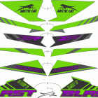 BLAST 4000 ZR GREEN [S2021JABSTUSG] Decals [108707]
