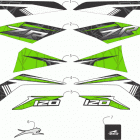 ZR 120 GREEN [S2021ZRAAAUSG] Decals [108619]