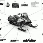 009 - RENEGADE 900 ACE - North America 09- body - decals - adrenaline