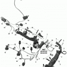 005 - SUMMIT 850 E-TEC - EXPERT - North America 10- electric - engine harness - 850 e-tec