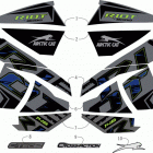 RIOT 8000 ES 146 (1.6) CHARCOAL [S2020RTHLXUSB] Decals [108088]