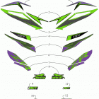 ZR 6000 LTD ES 137 iACT GREEN [S2019ZXDQSUSG] Decals [107293]