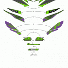 ZR 8000 LTD ES 137 GREEN [S2019ZXHLEUSG] Decals [107113]