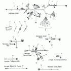 800 AXYS SKS 155 SC SELECT ALL OPTIONS (S20EFS8PS) Electrical, wire harness - s20efs8ps all options (601205...
