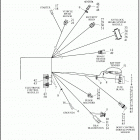 XL883L 4CR2 SUPERLOW (2019) WIRING HARNESS, MAIN, KEYLESS, ABS (3 OF 4)