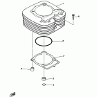 Raptor 350 YFM35RBW Цилиндр