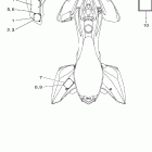 RAPTOR YFM25RX-C Наклейки 1