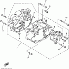 Bear Tracker Картер