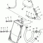 Banshee - Limited Радиатор