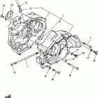 Raptor 80 Картер