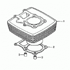 TRX250EX Цилиндр