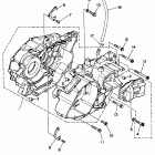 Big Bear 2x4 Картер
