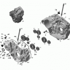 DS 450 X Картер