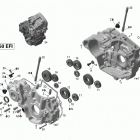 DS 450 EFI Картер