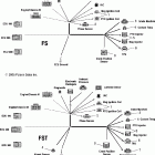FS/FST TOURING - S06PT7ES Kit, engine wire harness
