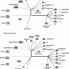 FS/FST CLASSIC - S06PD7ES Kit, engine wire harness