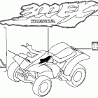 TRX300EX Emblems 96-97