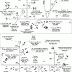 Summit X Жгут проводов