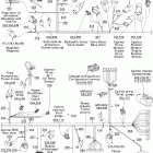 GSX 800 HO 10- electrical harness with dpm