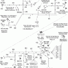 GTX 500SS 10- electrical harness no dpm