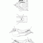 PHAZER GT PZ50GTZB Наклейки