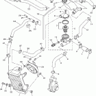 PHAZER RTX PZ50RTXL/PZ50RTXW Радиатор и Патрубки