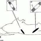 VMAX 700 SX-VX700SXSB/VX700SXB Дополнительная подвеска задняя