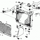 TRX250R Радиатор