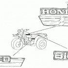 ATC250ES Stripe @ emblem 87